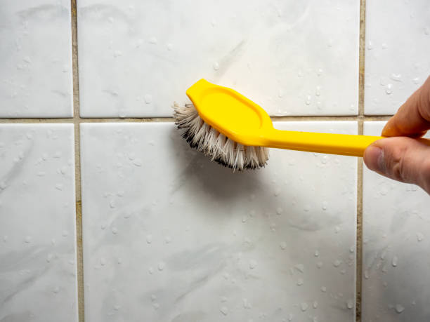 Best Professional Mold Removal  in Ashtabula, OH