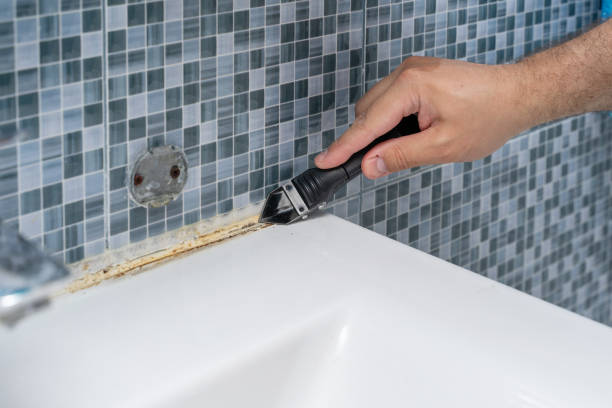 Best Mold Damage Repair  in Ashtabula, OH