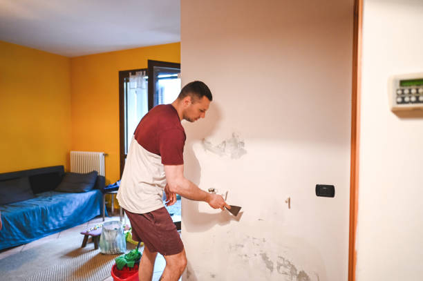 Best Mold Inspection  in Ashtabula, OH