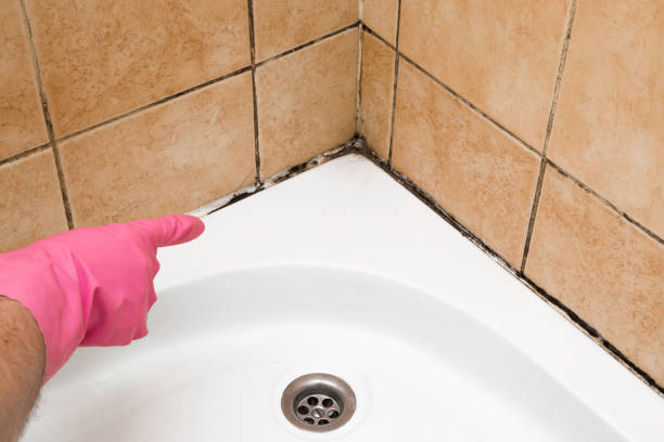 Best Crawl Space Mold Removal  in Ashtabula, OH